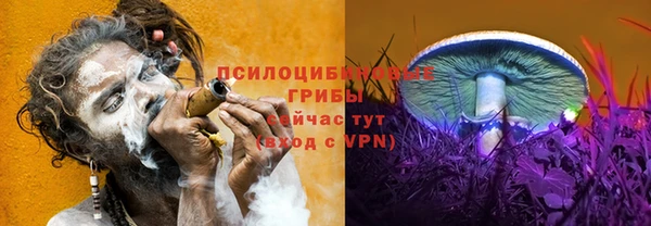 таблы Зуевка
