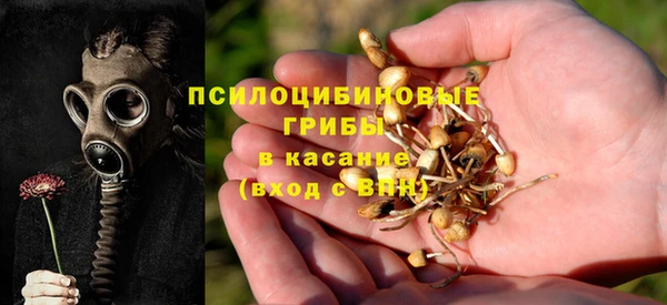 бошки Алзамай
