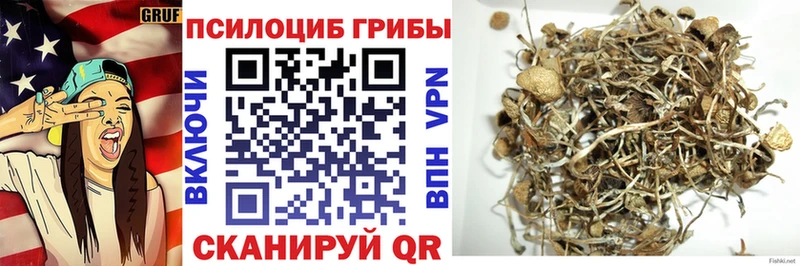 Галлюциногенные грибы Psilocybe  наркотики  Лахденпохья 